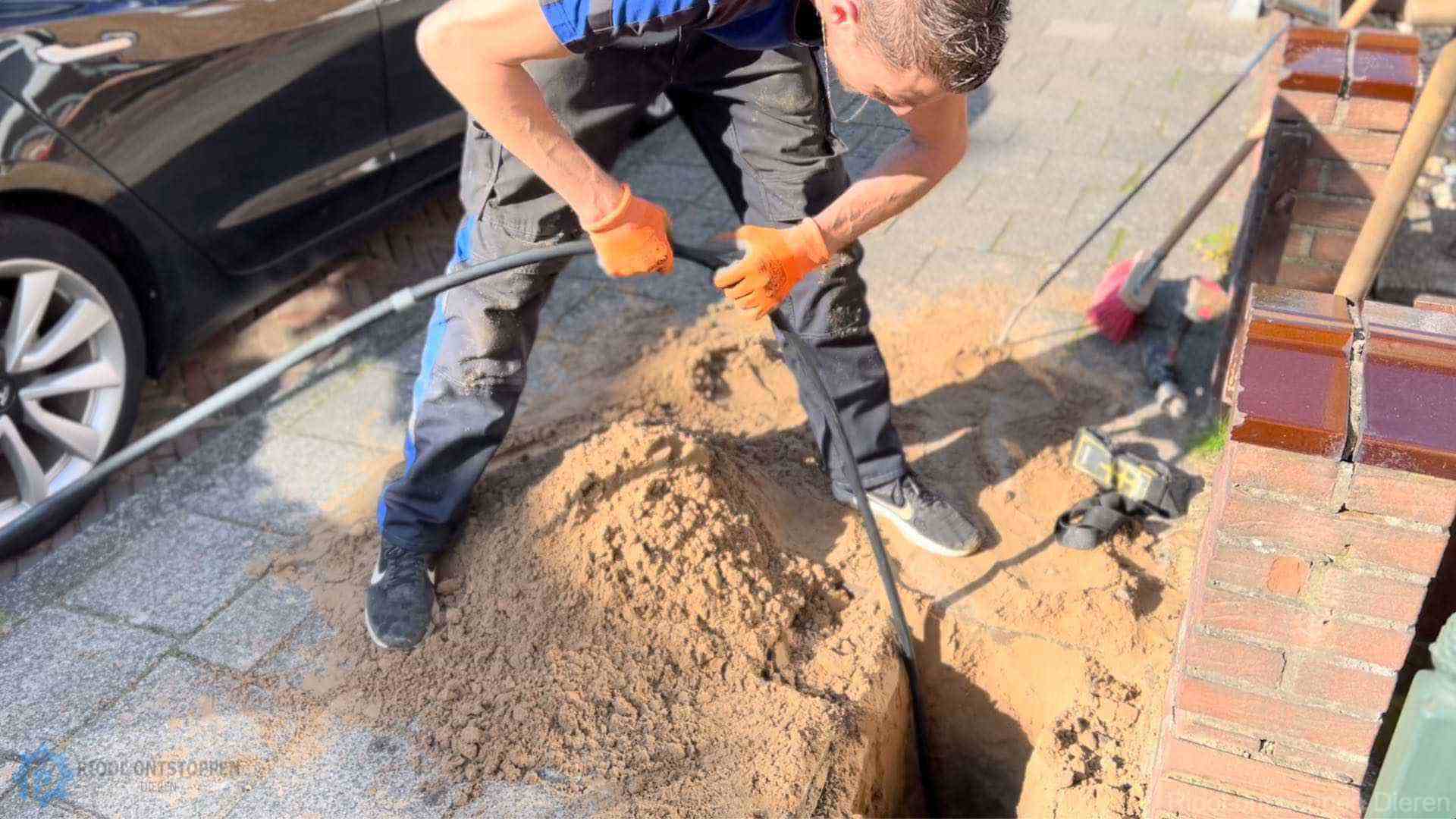 Riool Verstopt Dieren Riool Verstopt Dieren