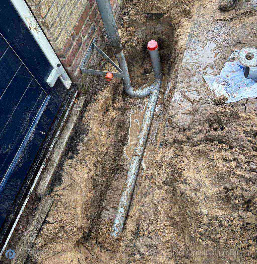 Rioolverzakking Dieren Rioolverzakking Dieren