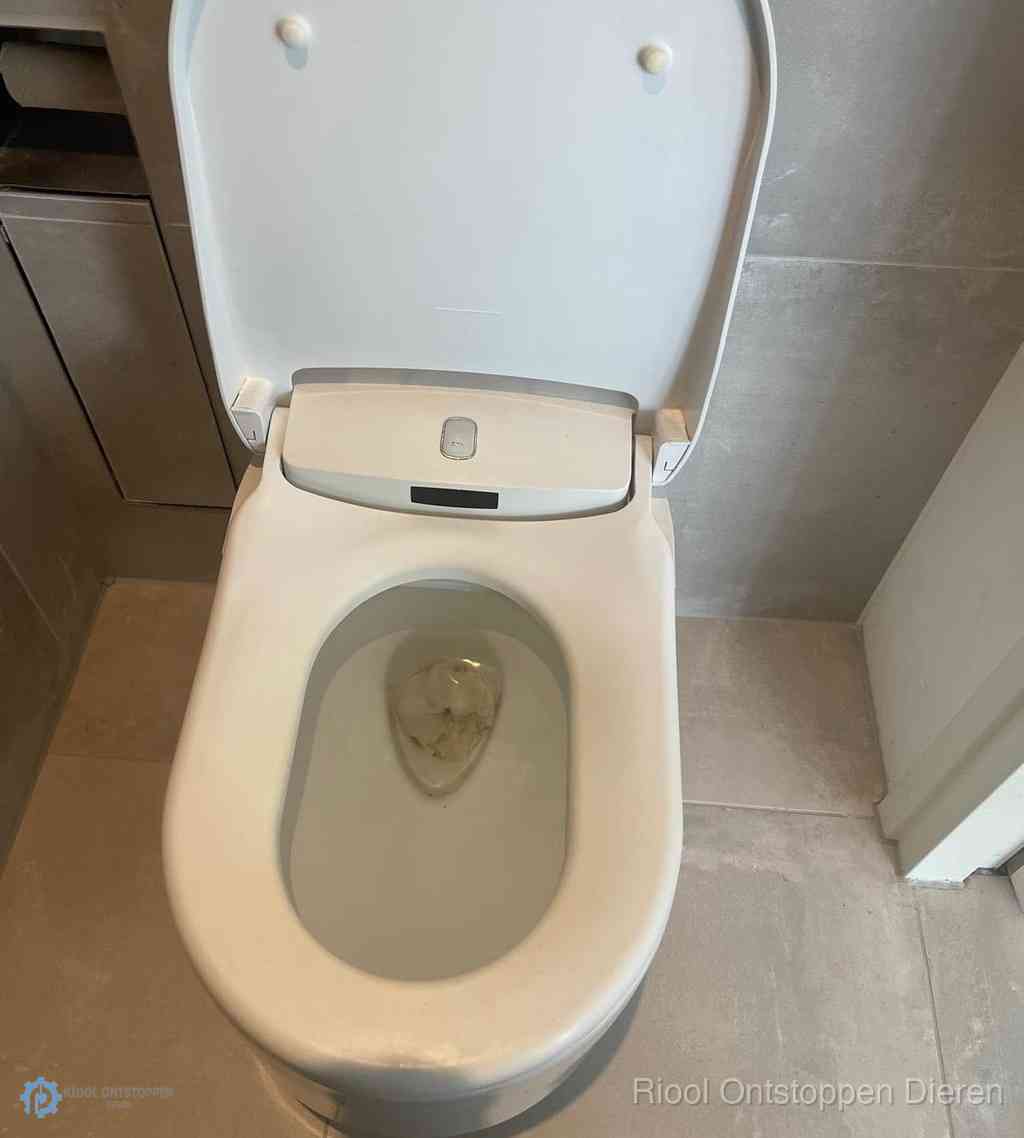 Toilet Ontstoppen Dieren Toilet Ontstoppen Dieren