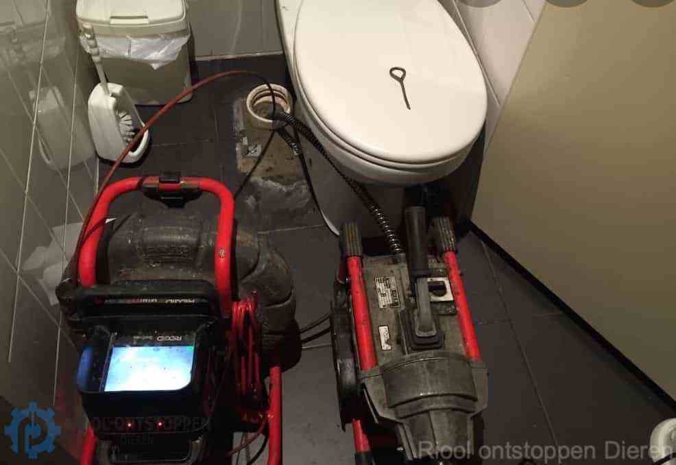 Wc Ontstoppen Dieren Wc Ontstoppen Dieren